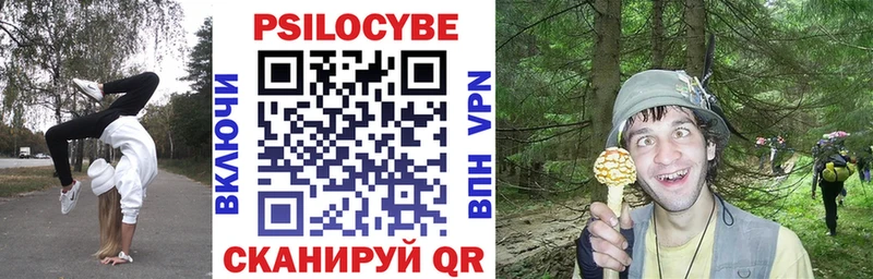 Псилоцибиновые грибы Psilocybine cubensis  KRAKEN как войти  Амурск 